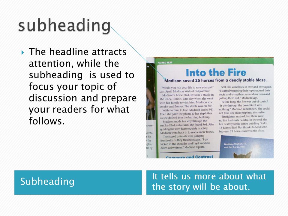 Use subheadings and write short paragraphs |Tips to become a good content writer|