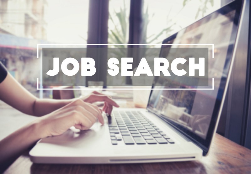 Close-up of a person using a laptop for online job search, with "JOB SEARCH" text overlay. The image reflects career development, digital job hunting, and placement support provided by HIDM – Hisar Institute of Digital Marketing for aspiring digital marketers and professionals.