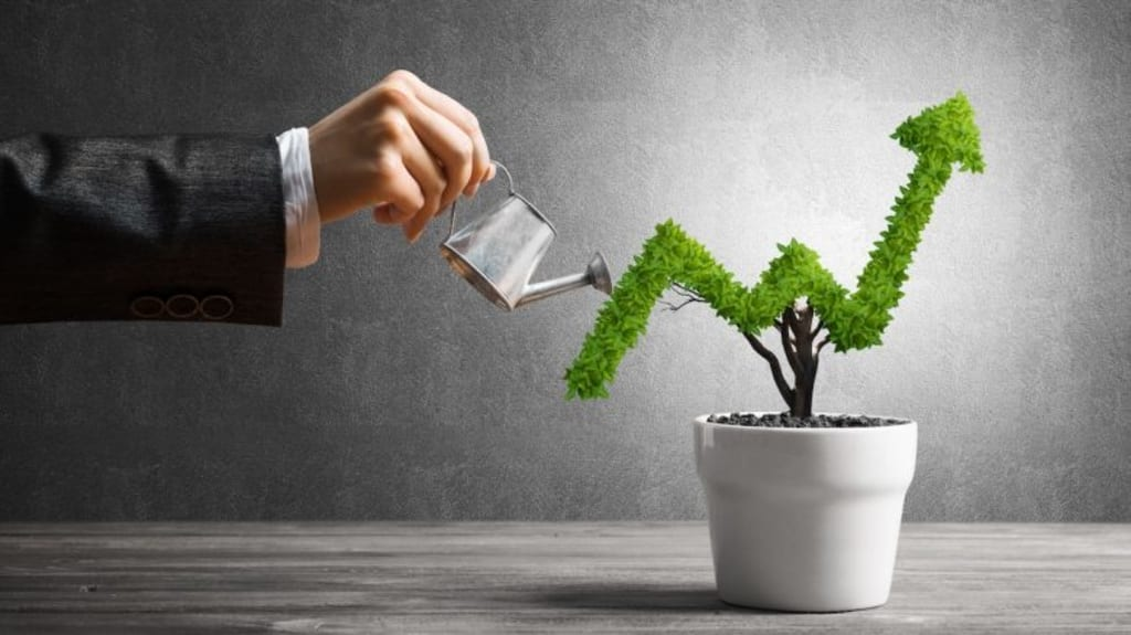 Person in a business suit watering a potted plant shaped like an upward-trending arrow, symbolizing the HiDM digital marketing principle of investing in learning and skill building for growth.