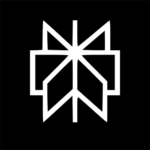 perplexity logo